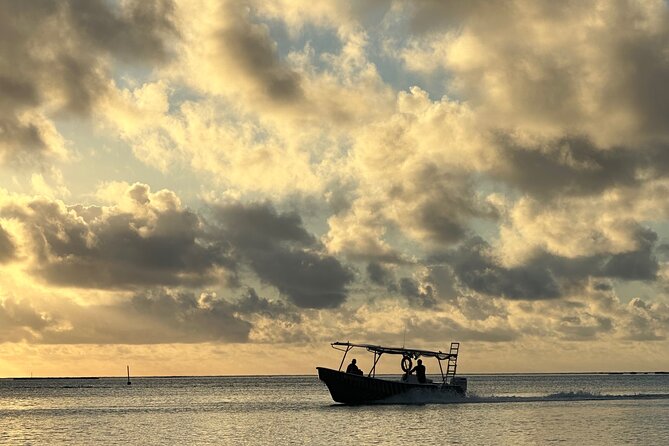 Half-Day Humpback Whales Encounter in Moorea - Who should book this Moorea whale tour?
