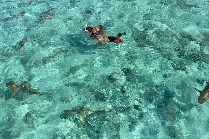 Half day lagoon safari tour in Bora Bora- Shared tour - Quick Points Before You Book