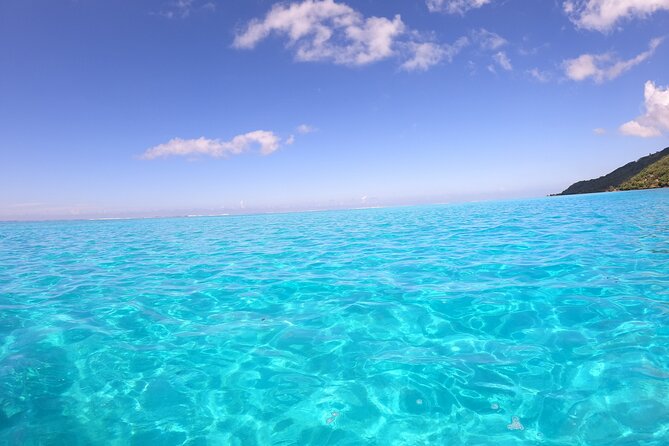 Half Day Private Boat Snorkeling Excursion Moorea - The submerged tiki and the coral garden