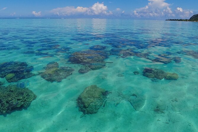 Half Day Private Boat Snorkeling Excursion Moorea - Fruit, juice, and the pace of a half-day outing