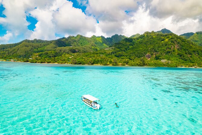 Half Day / Private Lagoon Adventure in Mo'orea - Why This Private Mo’orea Tour Works So Well