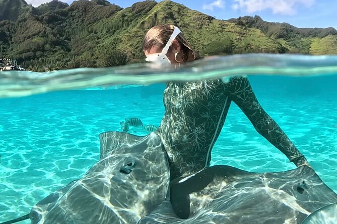 Half Day / Private Lagoon Adventure in Mo'orea - Coral Gardens and Tropical Fish