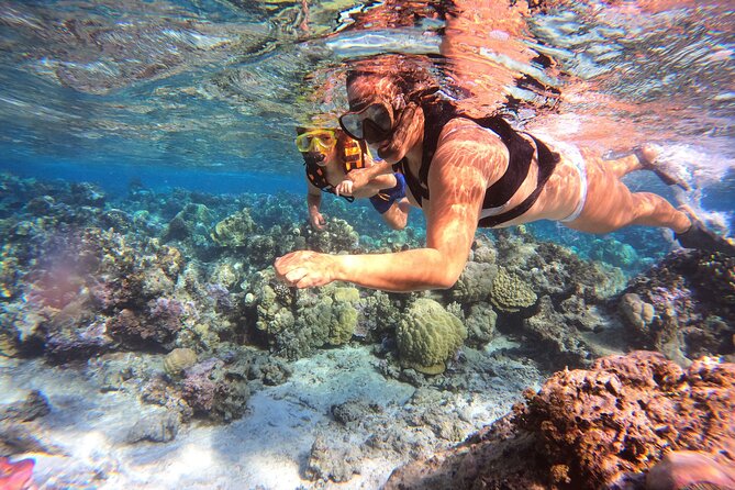Half Day / Private Lagoon Adventure in Mo'orea - Fresh Mo’orea Fruit and Island Stories