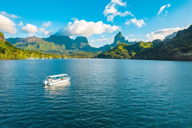 Half Day / Private Lagoon Adventure in Mo'orea - Who Should Book This Four-Hour Excursion