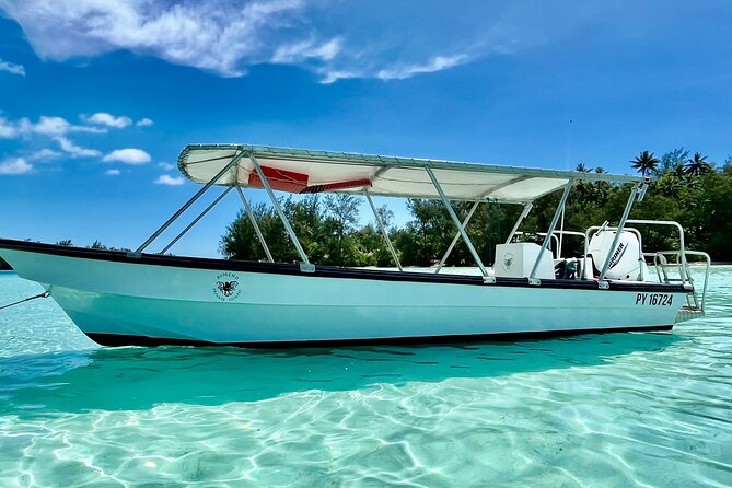 Half Day / Private Lagoon Adventure in Mo'orea - Shallow Sandbar Encounters with Rays and Reef Sharks