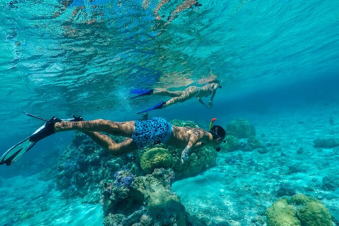 Half Day Private Lagoon Snorkeling Experience - The Aquarium Snorkeling Site and Bora Bora’s Coral Gardens