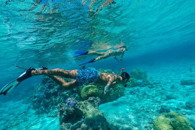 Half-Day Private Luxury Tour from Bora Bora - First stop: meeting Bora Bora’s stingrays