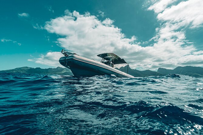 Half Day Private Whale Watching in Moorea - Four hours on a private Moorea boat