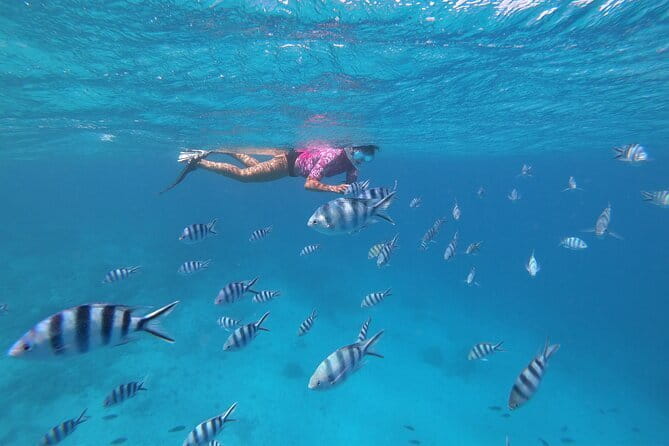 Half-Day Sailing Trip on the Lagoon of Tahiti Comments - Who Will Enjoy This Tahiti Boat Trip Most?