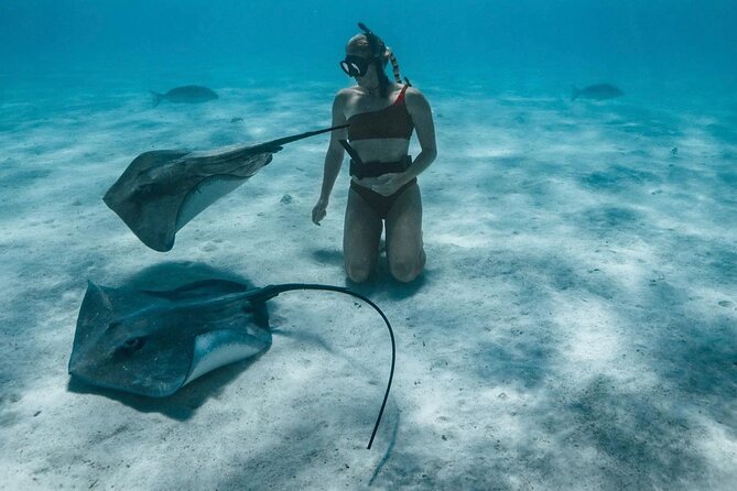 Half Day Snorkeling in Moorea - Weather, safety, and the few drawbacks