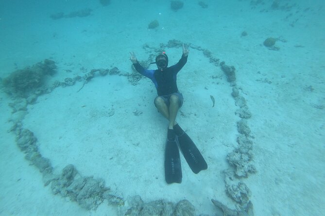 Half-Day Snorkeling Tour in Tahiti - What the snorkeling is really like