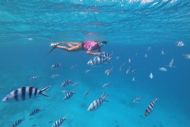 Half-Day Snorkeling Tour in Tahiti - The boat is intimate, but not luxurious
