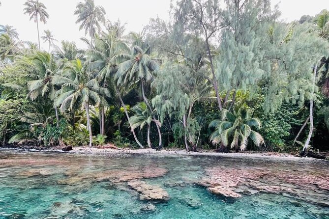 Half day Tahiti Peninsula and Teahupoo boat tour (shared boat) - Meeting at the Teahupoo marina