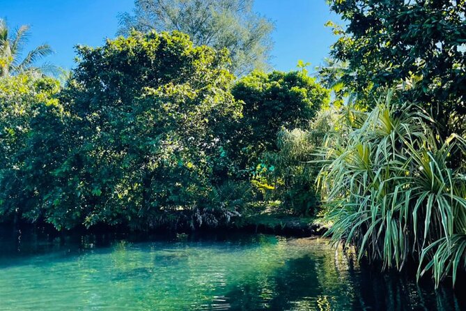 Half day Tahiti Peninsula and Teahupoo boat tour (shared boat) - Food, drinks, and the family-run feel