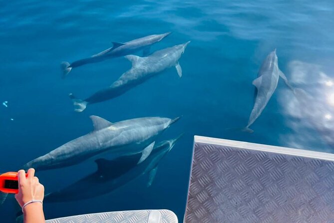 Half day Tahiti Peninsula and Teahupoo boat tour (shared boat) - Is $255.07 a fair price?