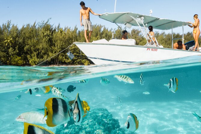Half Day Tour lagoon discovery marine fauna flora small group - Why a six-person boat changes the experience
