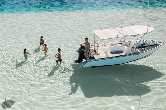 Half Day Tour lagoon discovery marine fauna flora small group - Fourth stop: turtles and the chance of leopard rays