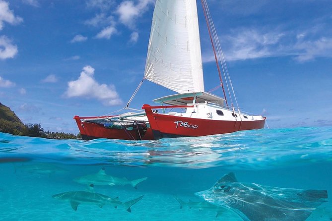 Half Day Tour : Moorea Snorkeling & Sailing on a Catamaran named Taboo - Quick takeaways from the Taboo