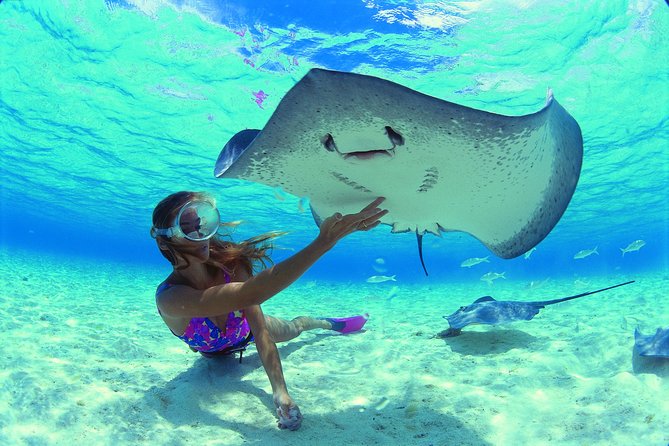 Half Day Tour : Moorea Snorkeling & Sailing on a Catamaran named Taboo - What the $157.46 price really buys