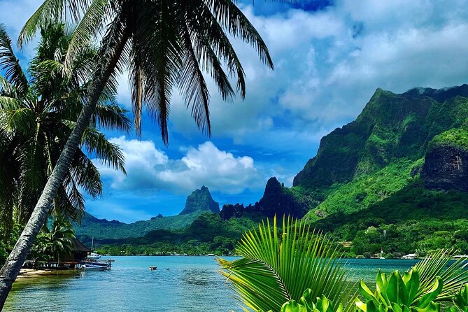 Half-Day Tour of Moorea Island in a Small Group - Key things to know before booking