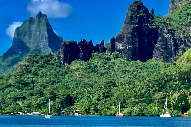 Half-Day Tour of Moorea Island in a Small Group - Why this half-day tour works well on Moorea