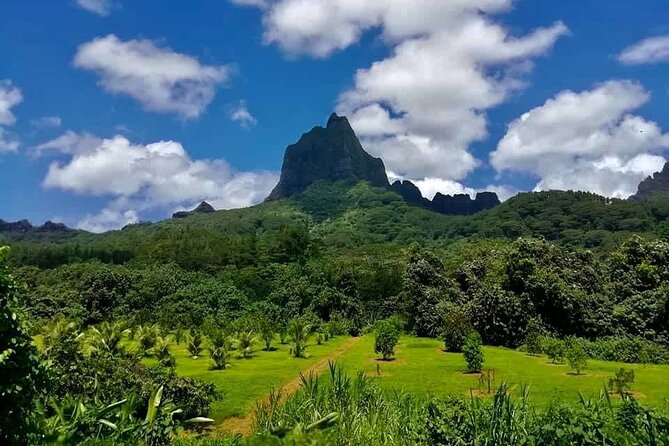 Half-Day Tour of Moorea Island in a Small Group - Rotui factory: tasting Moorea in a glass