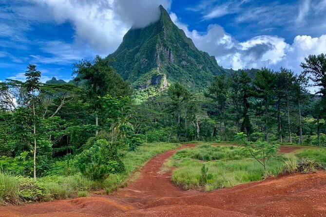 Half-Day Tour of Moorea Island in a Small Group - Belvedere Lookout: Moorea’s grand opening view