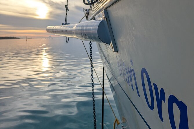 Half day whale watching - Without launch - Moorea from the water, not the roadside