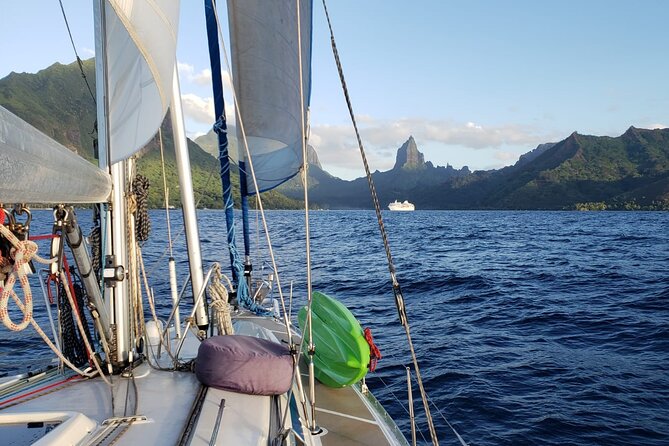 Half day whale watching - Without launch - A private group of six changes the value