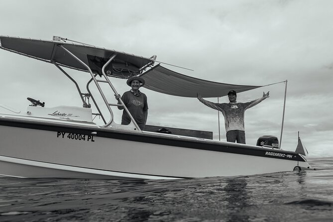 Half day Whales watching PRIVATE group - Why This Private Tahiti Whale Tour Feels Different