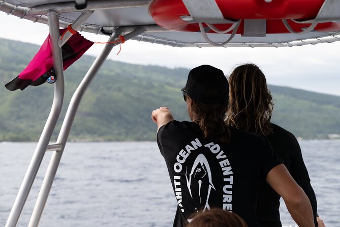 Half day Whales watching PRIVATE group - Aboard the POTI MARARA
