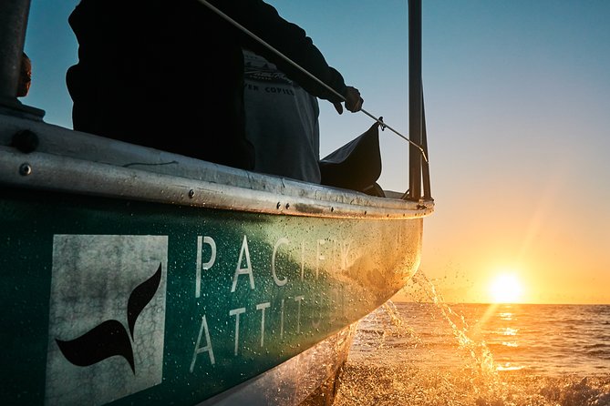 Humpback whale watching and marine life in Moorea - Hauru Public Park or Pacifik Attitude: choosing the right meeting point