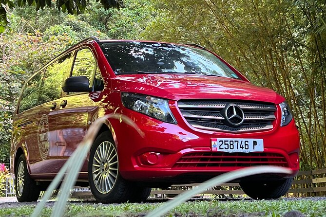 International private transfer, arrival departure, airport pier hotel rental - What the service does well