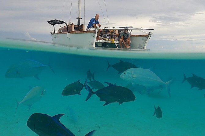 Introduction to sailing and discovering the lagoon - Morning sailing or afternoon light