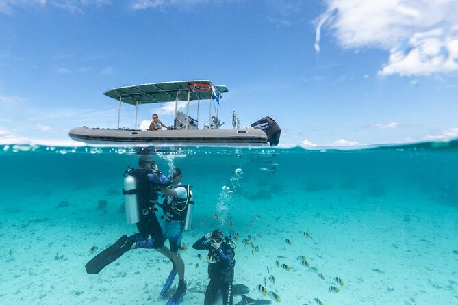 Introductory Scuba Diving Experience in Bora Bora - Key points to know before booking