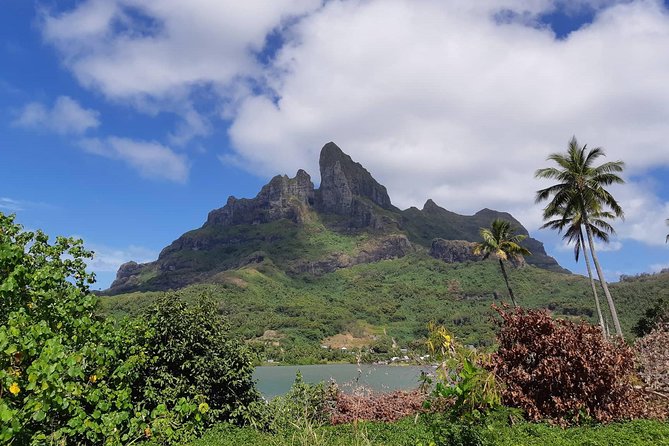Island Tour & Getaway on the Bora Bora Mountains by Quad / ATV - From Vaitape to the Amanahune plateau