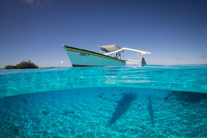 Keishi Tour Half Day Shared Excursion - Meeting blacktip reef sharks and stingrays