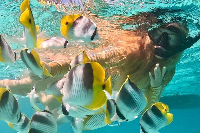 Lagoon and Marine Wildlife Tour in Moorea - Why this Moorea lagoon tour works well