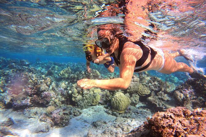 Lagoon and Marine Wildlife Tour in Moorea - Snacks, snorkeling gear, and what the price covers