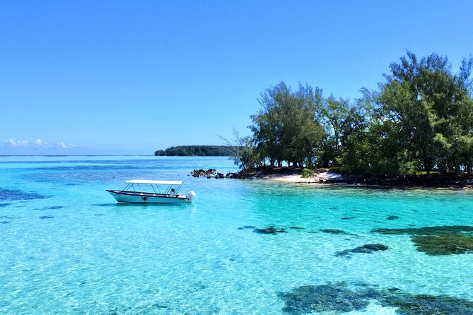 Lagoon and Marine Wildlife Tour in Moorea - Weather, cancellations, and planning advice