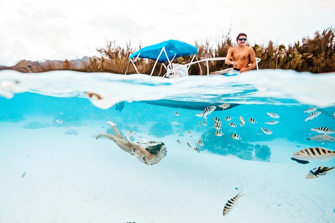Lagoon and Wildlife Discovery on a Private Boat in Moorea - Key points to know before you book