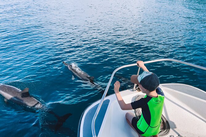 Lagoon and Wildlife Discovery on a Private Boat in Moorea - Price, group size, and overall value