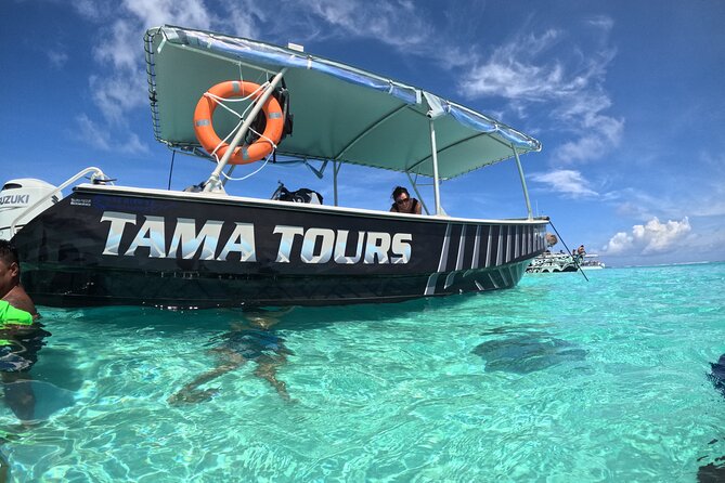 Lagoon Exploration and Snorkeling in Moorea - How the guides shape the experience
