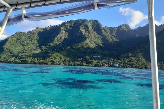 Lagoon Exploration and Snorkeling in Moorea - Is $145.76 a fair price?
