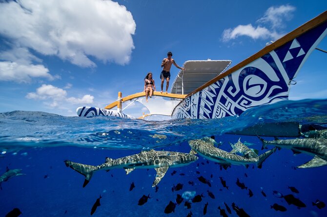 Lagoon Snorkeling Tour with Tahitian Oven Lunch in Bora Bora - Moving from marine life to a Tahitian oven