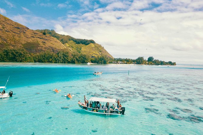 Lagoon Tour - Discover the magnificent lagoon of Moorea - Five things to know before you go