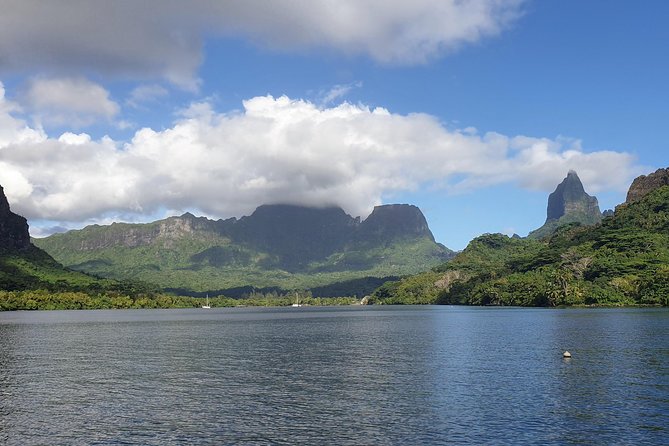 Lagoon Tour - Discover the magnificent lagoon of Moorea - The sandbar delivers the biggest wildlife moment