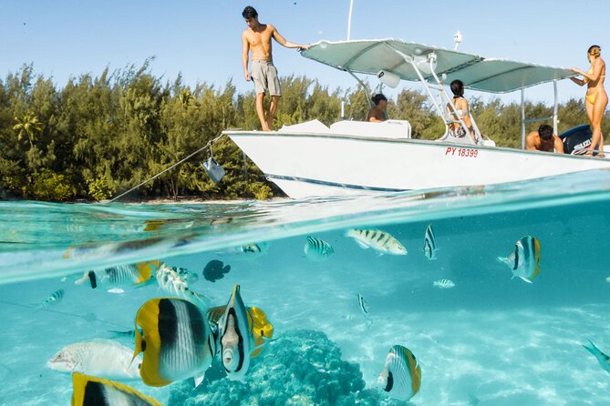 Lagoon Tour in Moorea in Small Group with Lunch - 8:00 a.m. start at Coco Beach