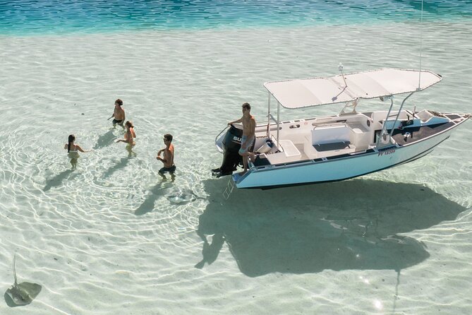 Lagoon Tour in Moorea in Small Group with Lunch - First stop: rays and blacktip sharks at the sandbar