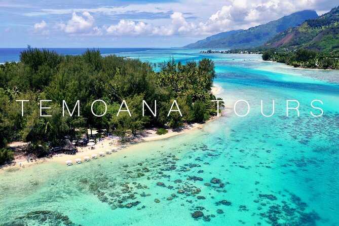 Lagoon Tour + lunch with your feet in the water on a Motu - What this six-hour Moorea outing is really like